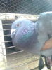 Image0437