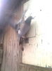 Image0443