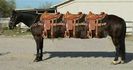 poza_404_1[1]