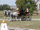 Inas & Marshal Marosvasarhely 2014