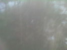 SP_A0798