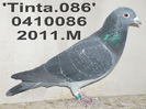 0410086.2011.M-ang 11 cl 9
