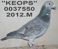 0067550.2012.-M.ang 11 cl 5