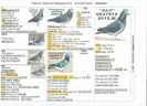 0037514.2012.M.Alii