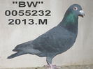 0055232.M.BW.ang 11 cl 7