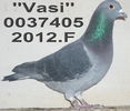 0037405-2012.Vasi. ang 11 cl 6