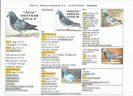 0037548.2012.F.Aria