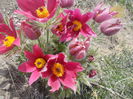 DSCN0120