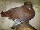 IMG-20141026-01050