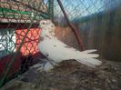 IMG-20141214-01266