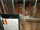 Picture 4757