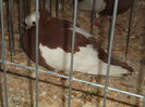 Picture 4772