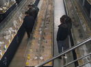 Picture 4777