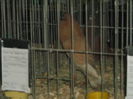 Picture 4784