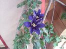 20130530_090102