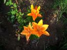 20130624_200718