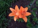 20130626_205050