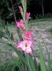 20130720_191833