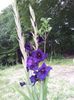 20130720_191853