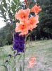 20130720_192307