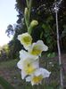 20130724_114935