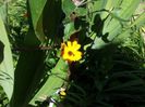 20130724_115907