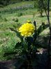 20130724_120437
