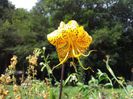 20130730_104904