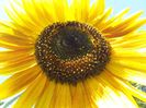 20130805_120037
