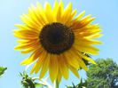 20130805_120047