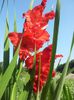 20130819_101038