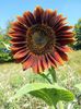 20130826_112049