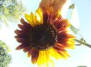 20130826_112252
