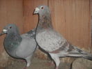 DSCF0047