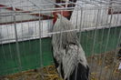 DSC01260