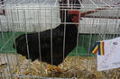 DSC01264