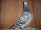 DSCF0099