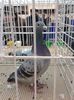 20150125_102319