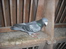 DSCF0159