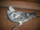 DSCF0162