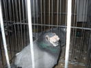 Picture 1476