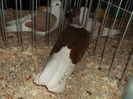 Picture 4817