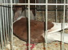 Picture 4818
