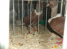 Picture 4819