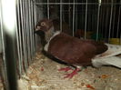 Picture 4822