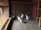 DSCF0349
