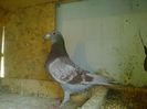 Imag 012788