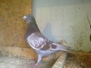 Imag 012791