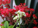 DSC09089