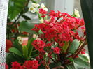 DSC09041